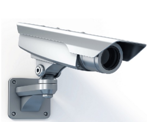 Videosorveglianza nel lavoro domestico Videosorveglianza nel lavoro domestico